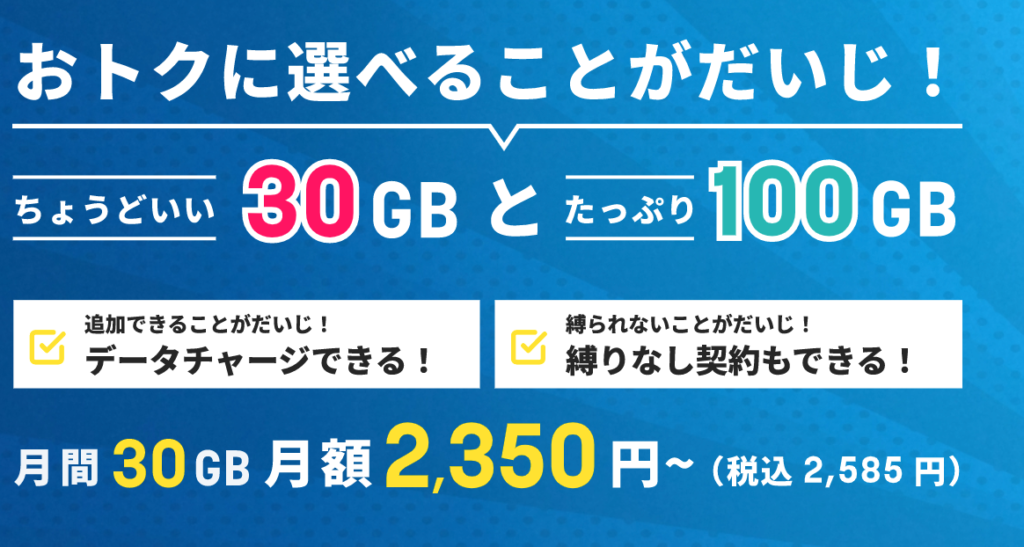 それがだいじWiFi料金プラン