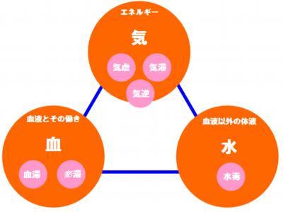 漢方薬の気・血・水